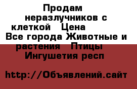 Продам 2 неразлучников с клеткой › Цена ­ 2 500 - Все города Животные и растения » Птицы   . Ингушетия респ.